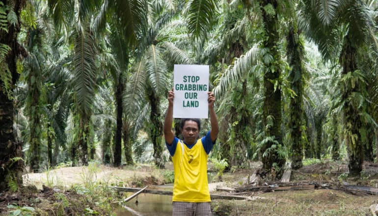 UN accuses Indonesia’s second-largest palm oil firm for rights, environmental abuses