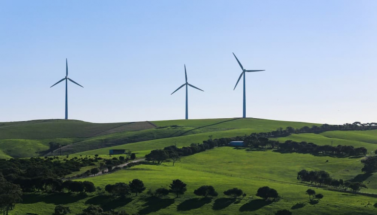 Opinion: Australia set to become renewable energy nation after Labor’s win
