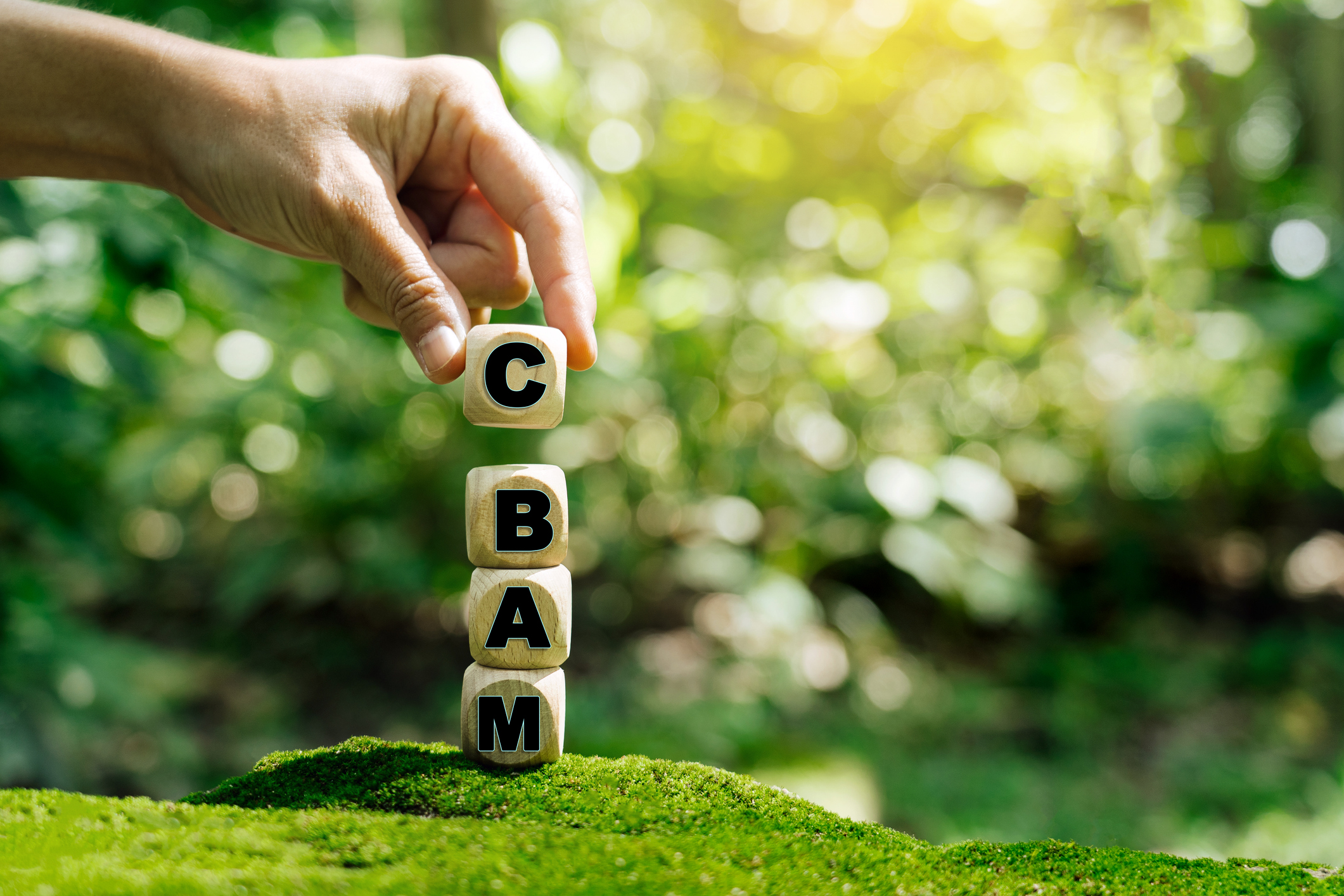 Australia urged to lead regional carbon tariff initiative in Asian CBAM