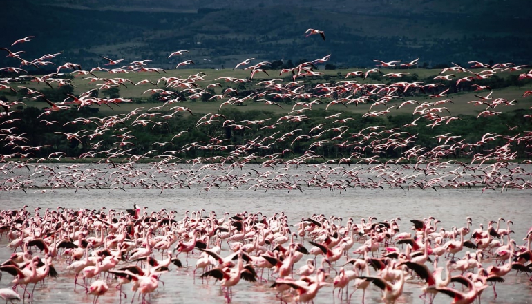 Global wetlands conference results in resolutions for protection, restoration