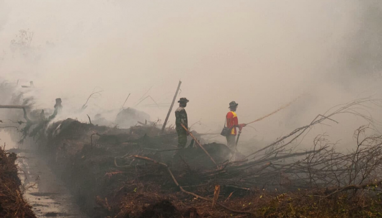 NASA satellites show surge in Indonesia hotspots as 2025 fires send smoke to Malaysia
