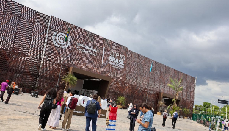 Analysis: Which countries have sent the most delegates to COP30?