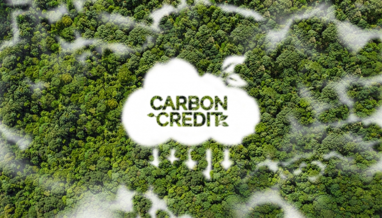 ICVCM announces first batch of approved carbon credit methodologies