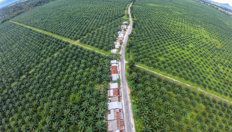 Indonesia to introduce B40 biodiesel in 2025 amid wood pellet controversy