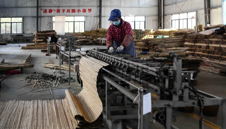 Unleashing bamboo: A nature-based solution to plastics