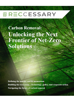 Carbon Removal: Unlocking the Next Frontier of Net-Zero Solutions