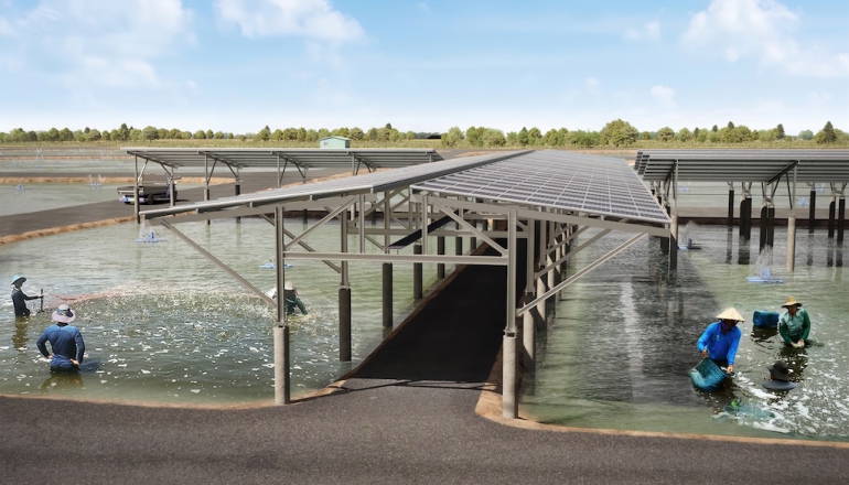 英國石油光電布局亞洲首站,子公司Lightsource bp嘉義啟動115MW漁電案場